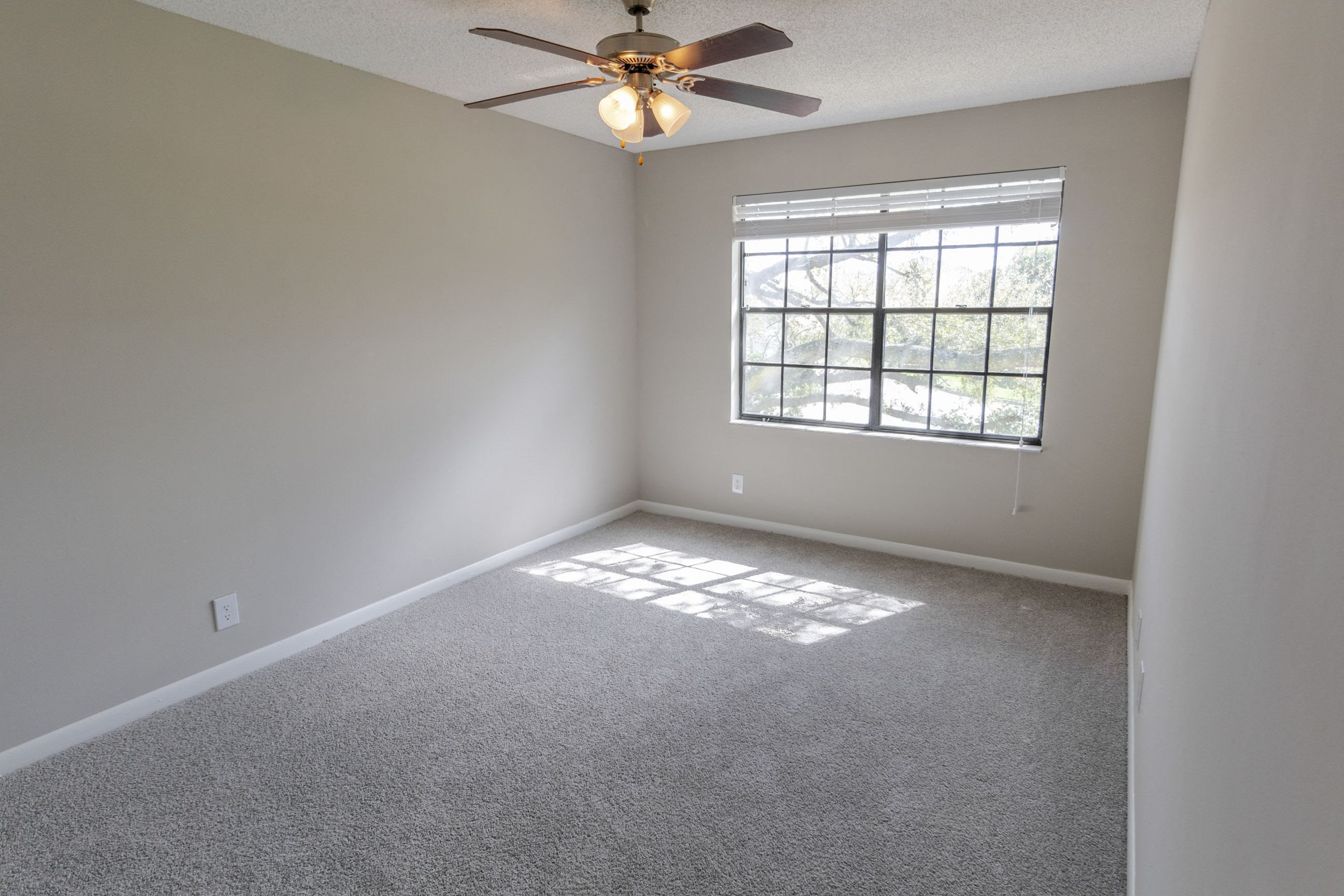 Gallery Photo 10